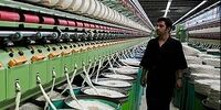 بازتاب مثبت افزایش قیمت دلار در بخش تولید