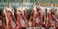 فرار ۶۰ تن گوشت تنظیم بازار  از شبکه توزیع
