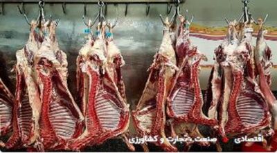 فرار ۶۰ تن گوشت تنظیم بازار از شبکه توزیع
