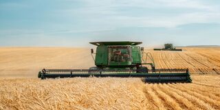 راز ریشه‌کن شدن قحطی؛ تجارت جای خودکفایی را گرفت | تجارت جهانی چگونه قحطی را از بلای طبیعی به خاطره تاریخی تبدیل کرد؟