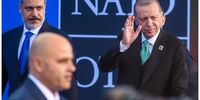 پشت پرده موافقت ترکیه با عضویت سوئد در ناتو/ خط و نشان برای کرملین!