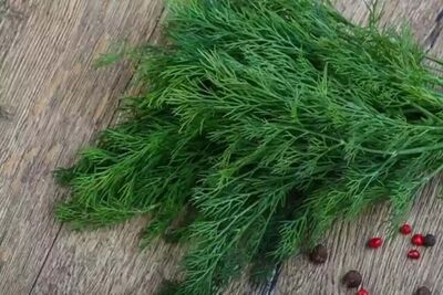 این سبزی خوشبو کرم های انگلی بدن را از بین می برد 