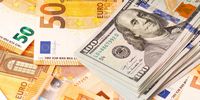 قیمت دلار و یورو در صرافی ملی امروز پنجشنبه ۱۱ دی1404/افزایش قیمت دلار و یورو 