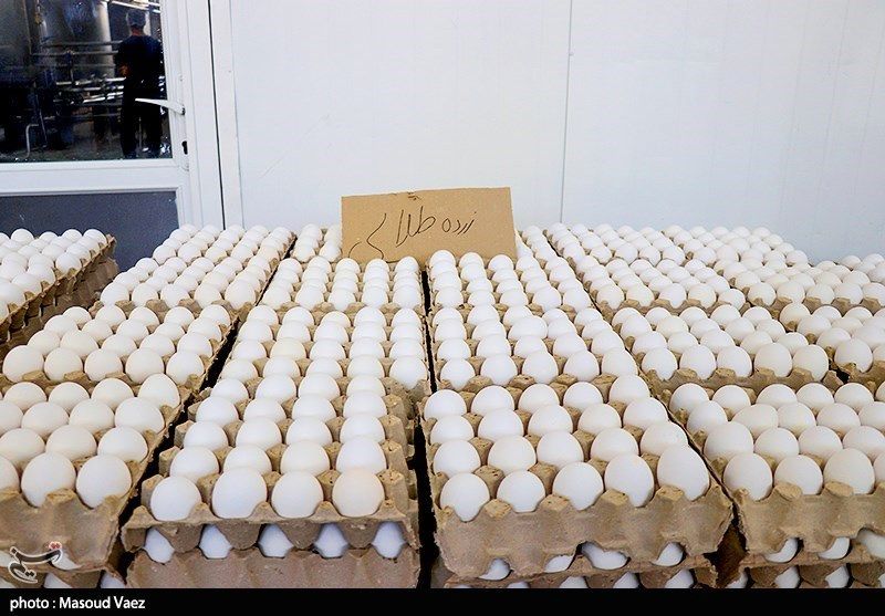جدیدترین نرخ تخم مرغ اعلام شد