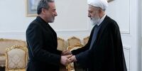 جزئیاتی از دیدار وزیر امور خارجه با نائب رئیس مجلس اعلای لبنان 