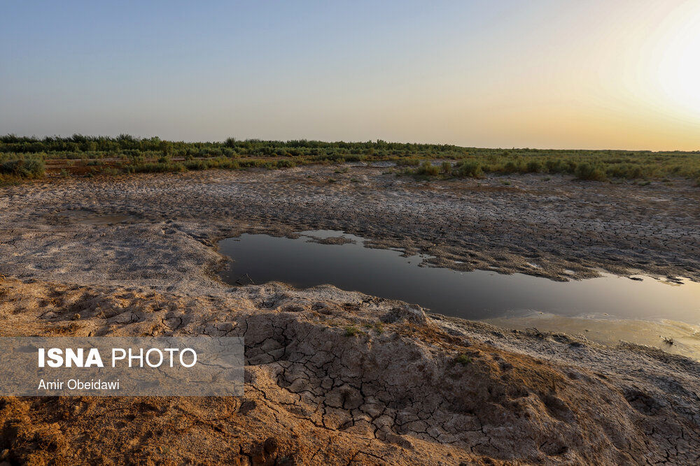 تصاویر| خشکی تالاب در دشت آزادگان