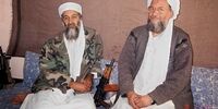 جانشین بن‌لادن کشته شد 
