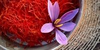 زعفران گران شد/ قیمت جدید چقدر است؟