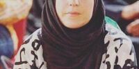 عرب سرخی: اگر کسی بخواهد نفوذ کند خود را شبیه علیرضا اکبری یا کاترین شکدم درمی‌آورد، نه شبیه تاج‌زاده یا بختیار