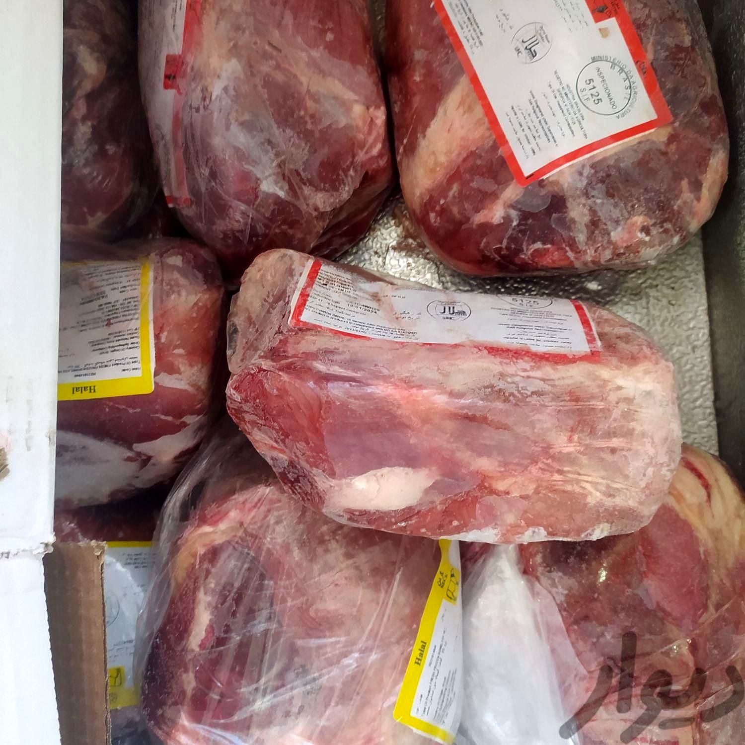 قیمت روز گوشت منجمد اعلام شد/ سردست کیلویی چند؟