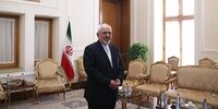 شیوه جالب سلام و احترام ظریف در مقابل خانم دیپلمات هندی + عکس