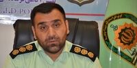 شناسایی و احضار راننده وانت حیوان‌آزار در گلستان