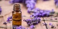 دمنوش این گیاه برای تقویت حافظه مفید است 