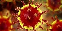 شوک به جهان: مثبت شدن تست کرونا پس از زدن واکسن فایزر! 