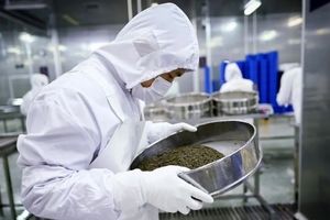 چین درحال تصاحب بازار خوراکی‌های لوکس جهان | تنوع جغرافیایی برگ برنده شد | مقابله فرانسه و ژاپن با رقیب جدید