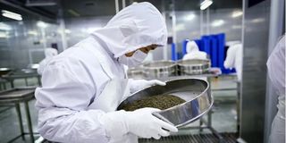 چین درحال تصاحب بازار خوراکی‌های لوکس جهان | تنوع جغرافیایی برگ برنده شد | مقابله فرانسه و ژاپن با رقیب جدید