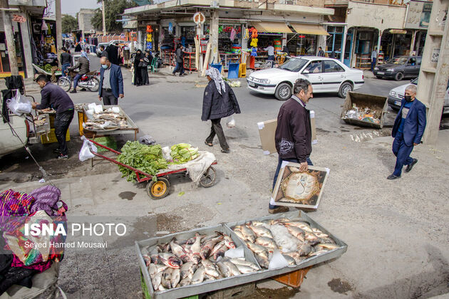 62295736_hamed-mousavi-isna-30