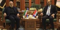 جزئیات دیدار سفیر ایران با استاندار نجف اشرف+ تصاویر