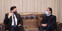 ورود نخست‌وزیر موقت لبنان به گود تشکیل دولت