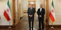 تشکیل جلسه مذاکره وین به محض دریافت پاسخ تهران و واشنگتن