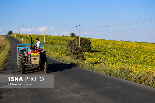 62351637_ghajar-isna-22