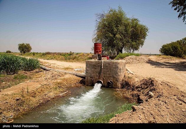 تشنگی مزارع نیشکر هفت تپه