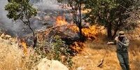 آمارهایی تلخ از آتش‌سوزی در زاگرس/ این استانها در صدر قر گرفتند