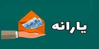 یارانه پنهان ۱۰۰ میلیارد دلاری برای پولدارها | نحوه اعتراض به حذف یارانه چگونه است؟