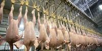 ۶۵ هزار تن گوشت مرغ در کشور تولید شد


