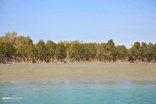 3776498_photo_2021-05-21_02-54-03-2-