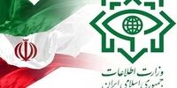 اطلاعیه وزارت اطلاعات درباره خبر منتسب به اتباع افغانستانی
