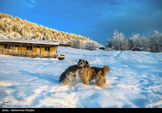 image16