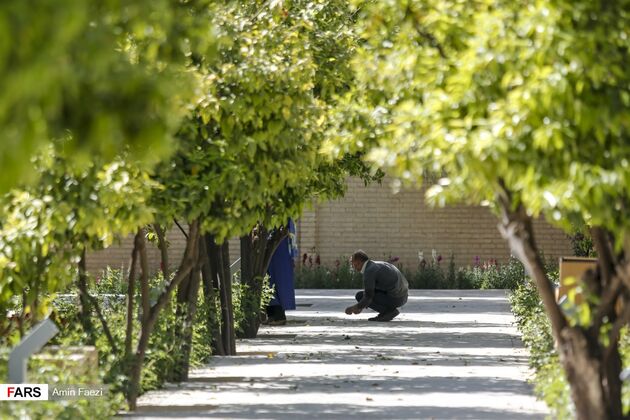 بوی بهار نارنج در اردیبهشت شیراز