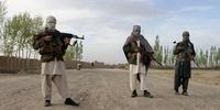 طالبان دو ولایت دیگر را تصرف کرد