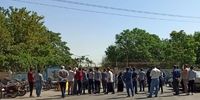 قتل عام یک هزار درخت توسط شهرداری مشهد
