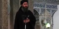 دستگیری ابوبکر البغدادی تایید شد