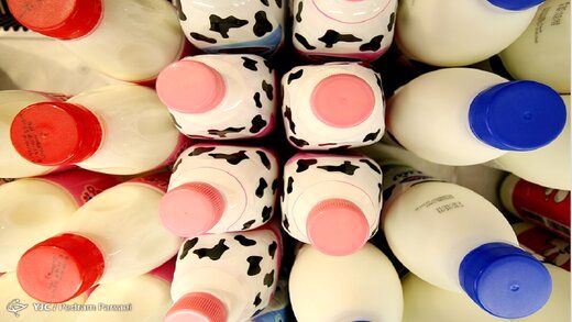 شیر گران می شود؟
