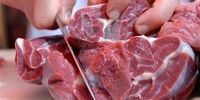 قیمت روز گوشت وارداتی اعلام شد/ هر کیلو راسته چند؟