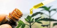 هشدار نسبت به عوارض کشنده مصرف خودسرانه گیاهان دارویی