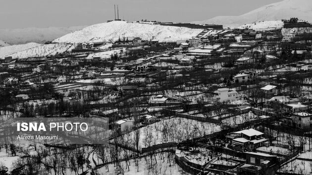 62187540_Alireza-13-of-49-