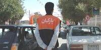 پارکبان‌ها به خیابان‌های پایتخت برمی‌گردند!