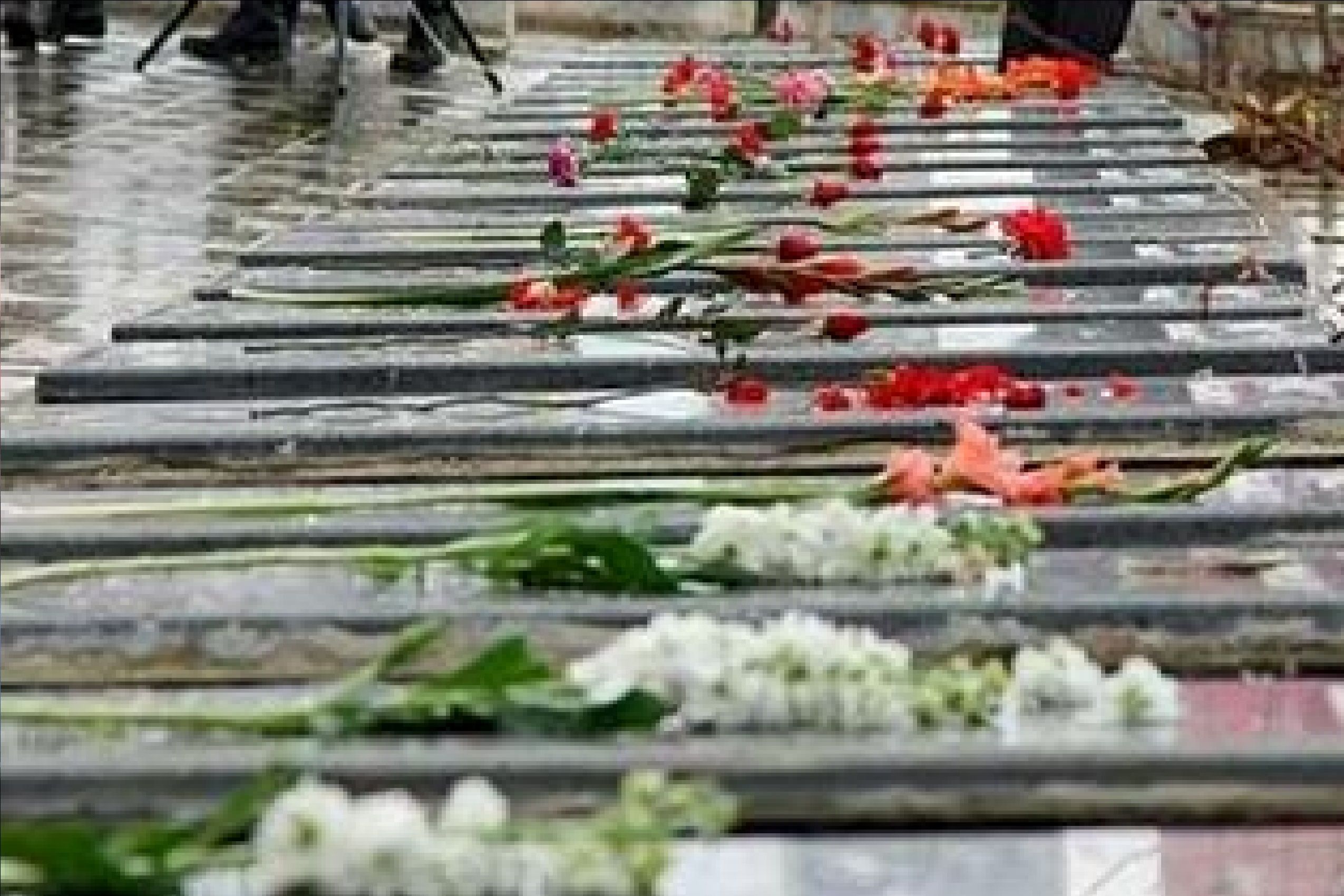 برادر شهید طهرانی مقدم: اقتدار موشکی ایران سبب عقب نشینی دشمن شده است