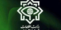 وزارت اطلاعات بیانیه صادر کرد