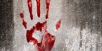 حکم سنگین برای مرد سوئدی که همسر ایرانی اش را به قتل رساند