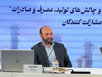 علی صادقین: ۱۷ میلیارد دلار درآمد ارزی از زنجیره فولاد از دست رفته است | صنعت فولاد در آستانه از دست دادن بازارهای هدف است | سیاست‌گذاری فعلی ما را به سمت خام‌فروشی می‌برد