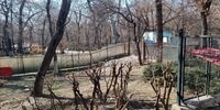 توضیحات جدید درباره ساخت مسجد در پارک قیطریه تهران/ حتی یک سانتی متر از بوستان قیطریه، به جای مسجد به مال تبدیل نمی‌شود