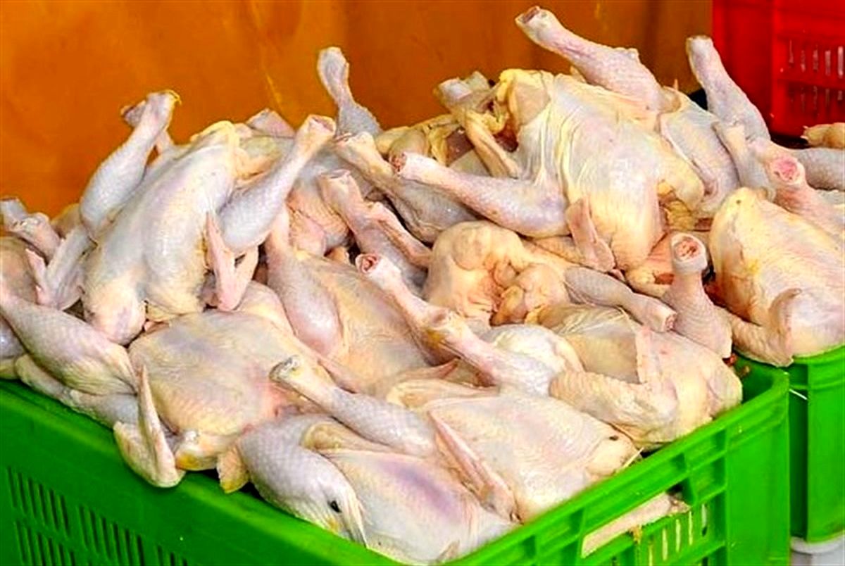 مرغ‌ را نباید قبل از پختن شست!
