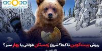 زمستان طولانی بازار رمزارزها شروع شده یا بهار سبز نزدیک است؟
