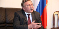 واکنش اولیانوف به تصویب قطعنامه ضدایرانی در شورای حکام