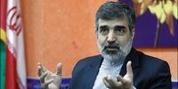 سخنگوی سازمان انرژی اتمی: می‌خواهیم با آژانس همکاری می‌کنیم، اما واقعاً با وضعیتی پیچیده مواجه هستیم